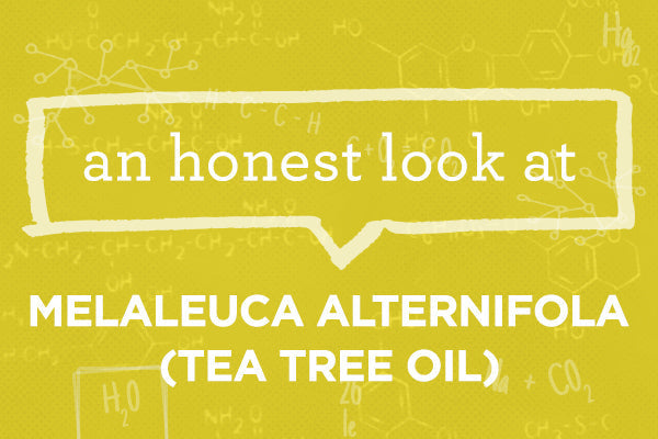 What Is Melaleuca Alternifola (Tea Tree Oil)?