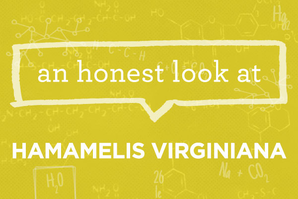 What is Hamamelis Virginiana?