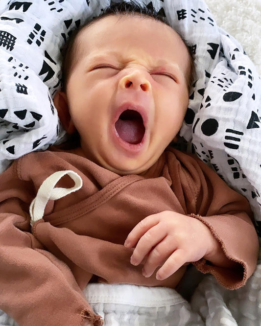 Image shared by @littlelordandladycope