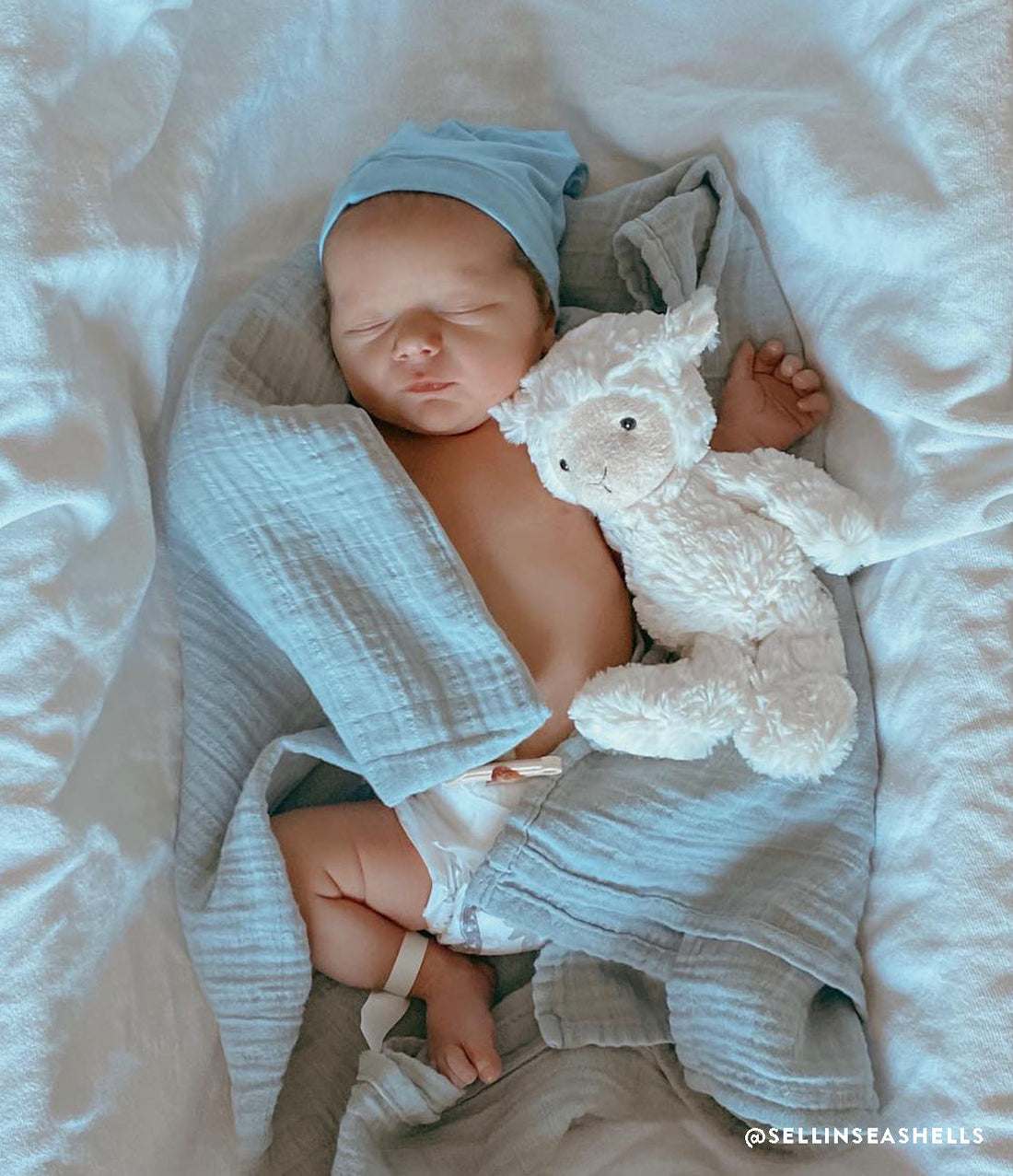 Newborn baby sleeping in bassinet