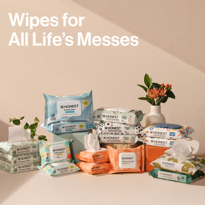 Clean Conscious™ Dry Wipes