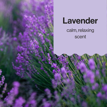 Lavender flowers with a text overlay on a purple background