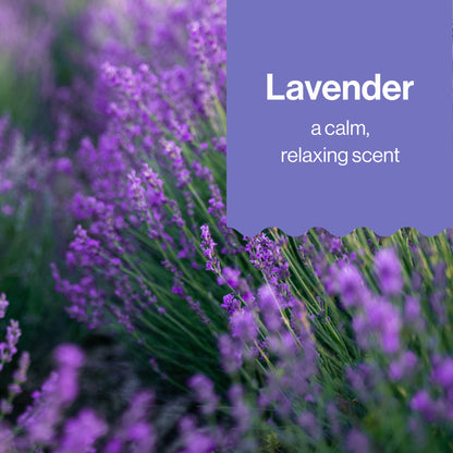Shampoo Body Wash, Carton Refill, Lavender