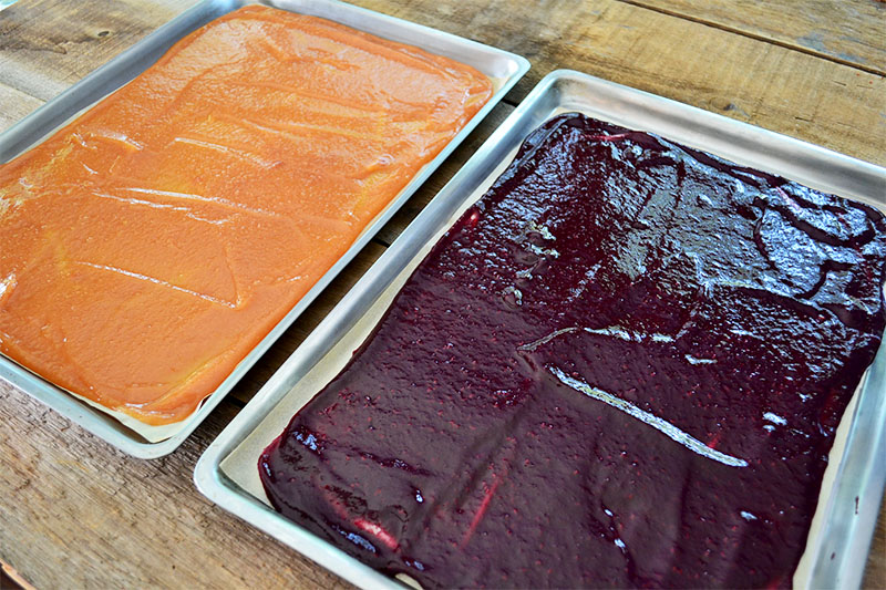 Fruit Leather: Three Ingredients, One Simple Snack