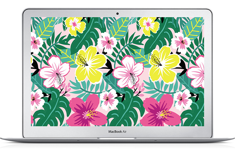SummerDiaper2017_Blog_Wallpaper_Desktop-Mac_HibiscusFlowers