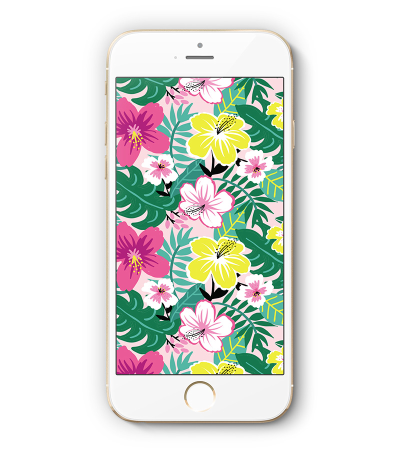 SummerDiaper2017_Blog_Wallpaper_Mobile-phone_HibiscusFlowers