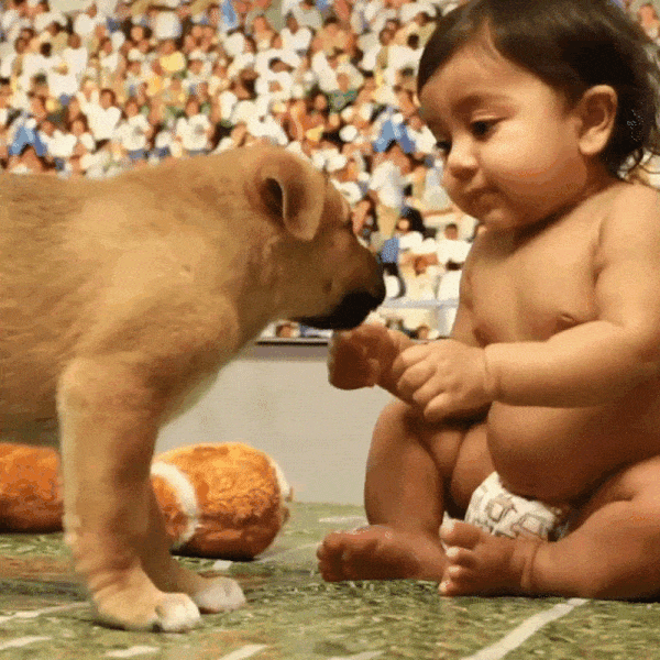 Baby vs. Puppy Bowl 2018!